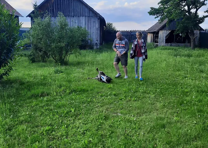 Auszeit; Gaestehaus & Mehr Nocleg ze śniadaniem Kollersdorf